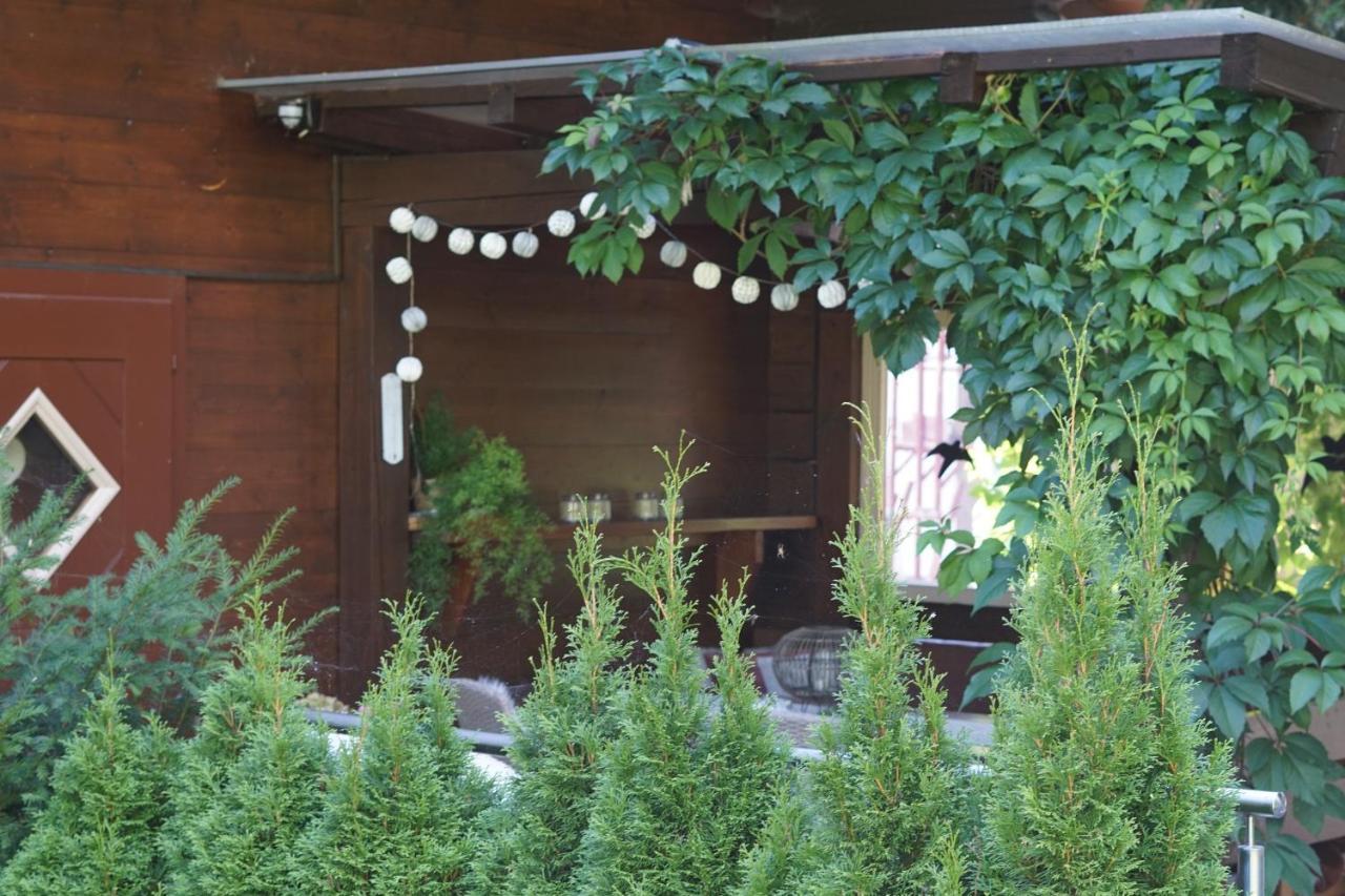 Landhaus Zirmhof Saalbach-Hinterglemm Dış mekan fotoğraf